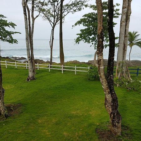 Cabana Pura Vida Bed & Breakfast Acandi Ngoại thất bức ảnh